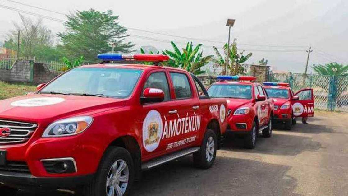 Amotekun is a ploy by Yoruba leaders to create Oduduwa Republic - Balarabe Musa declares Amotekun is a ploy by Yoruba leaders to create Oduduwa Republic - Balarabe Musa declares