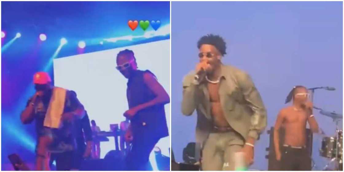 Whitemoney, Neo storm Laycon’s concert Whitemoney, Neo storm Laycon’s concert