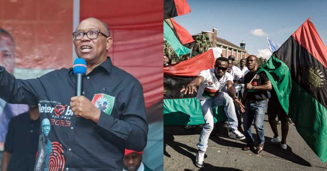 Obi, IPOB, Southeast Obi, IPOB, Southeast