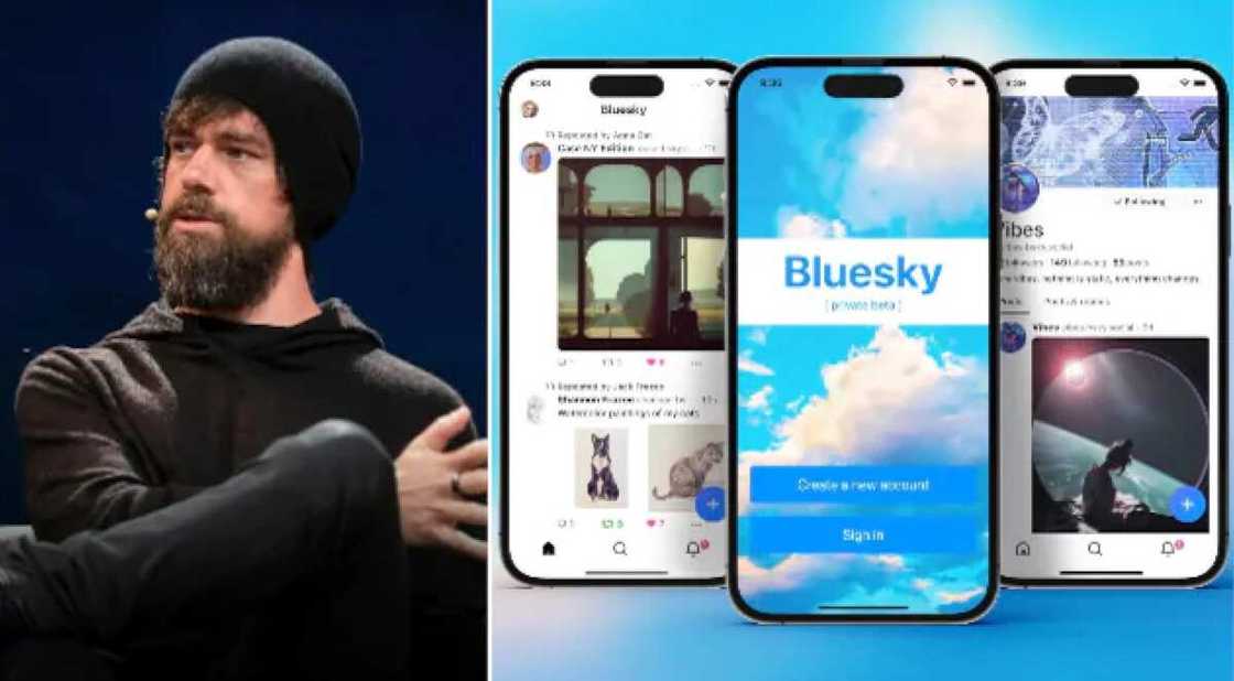 Elon Musk Bluesky Elon Musk Bluesky