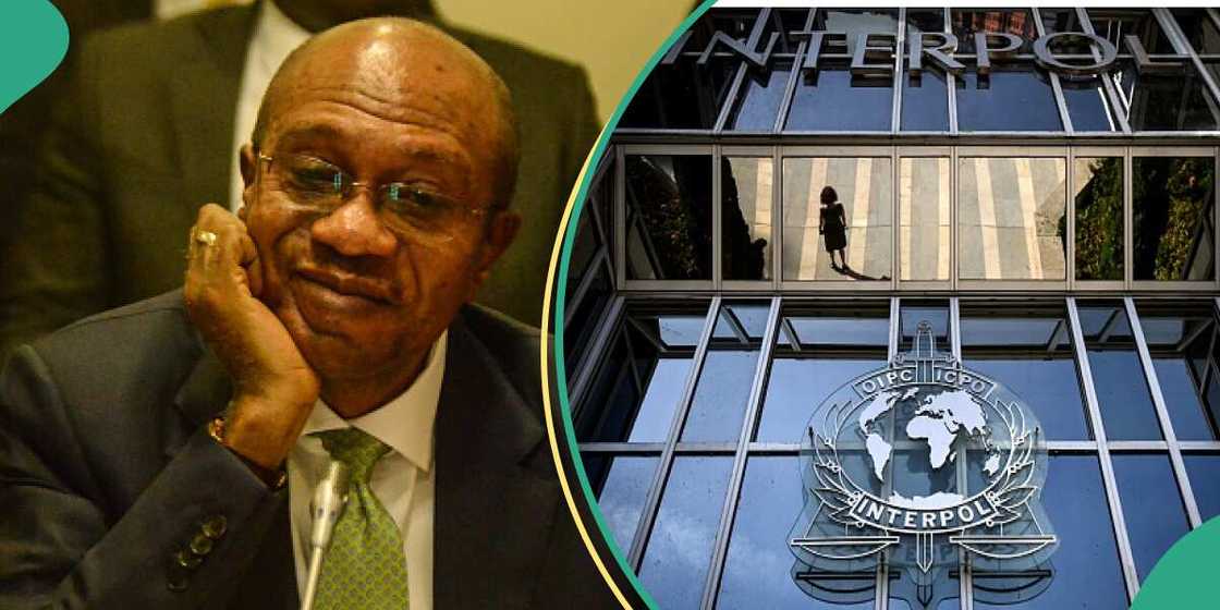 INTERPOL:Emefiele INTERPOL:Emefiele