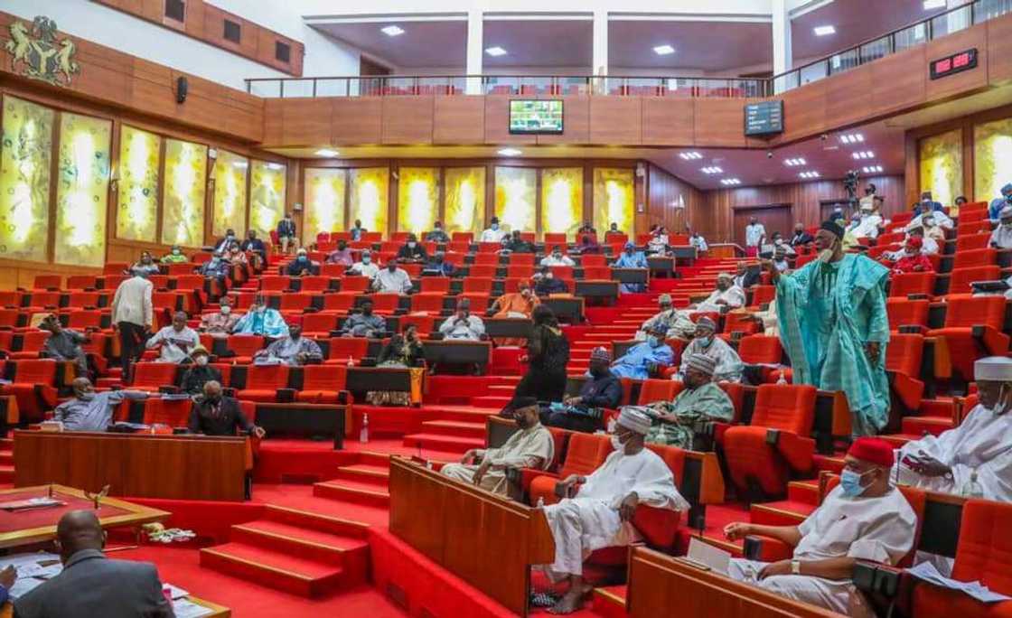 Nigerian Senate during plenary Nigerian Senate during plenary