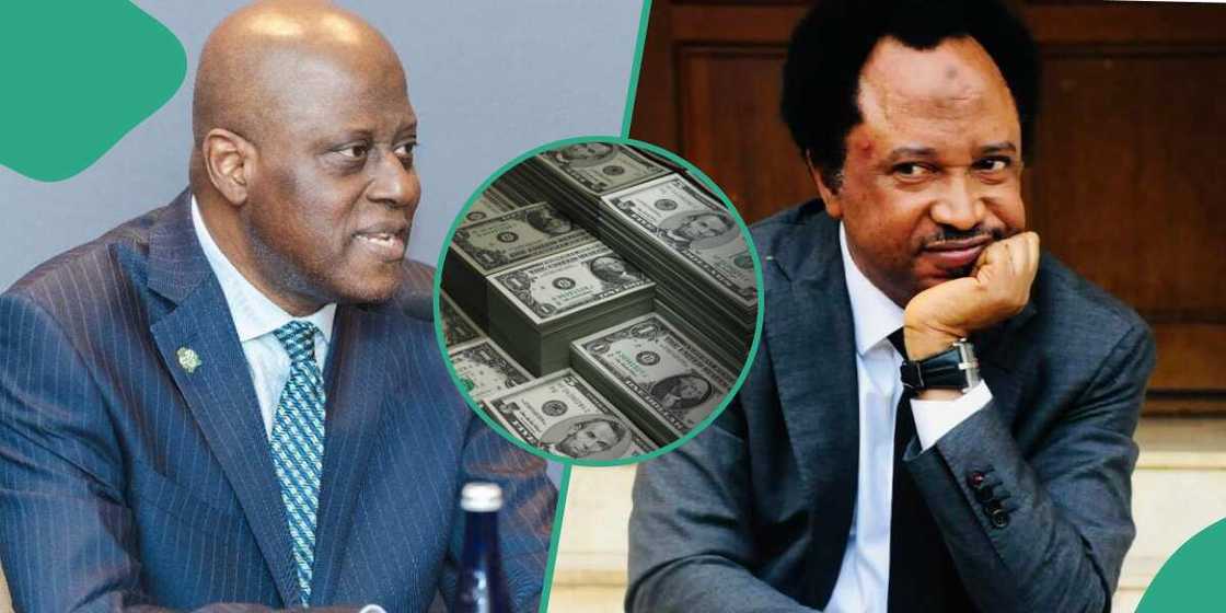 Yemi Cardoso/Shehu Sani/Dollar Exchange Rate Yemi Cardoso/Shehu Sani/Dollar Exchange Rate