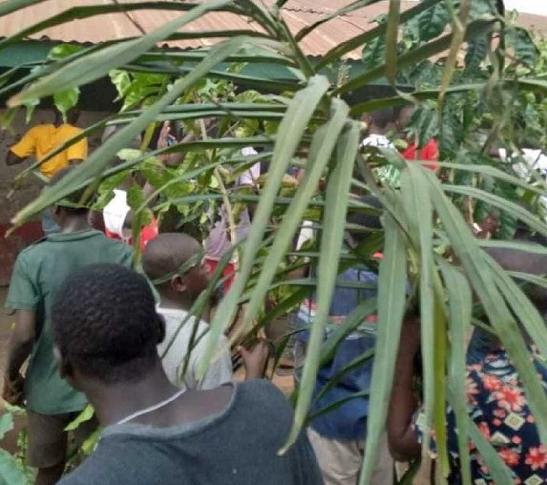 A dawo mana da mazakutarmu: Hotunan fusatattun matasa suna zanga-zanga a Benue A dawo mana da mazakutarmu: Hotunan fusatattun matasa suna zanga-zanga a Benue