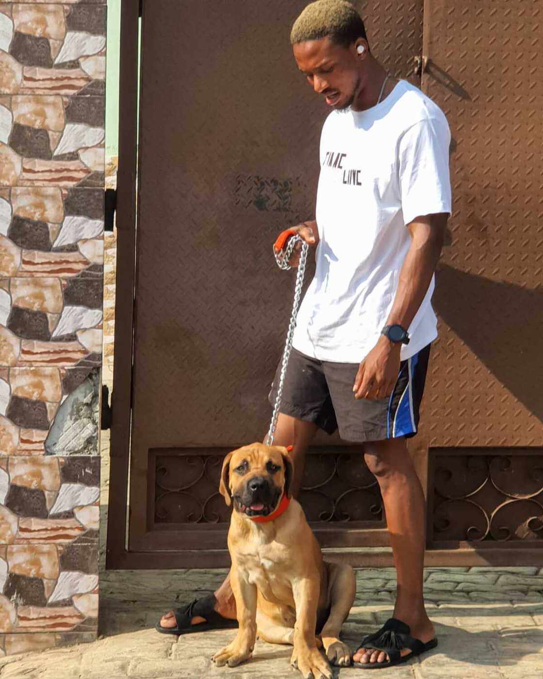 dog/dog breeding/dog breeding in Nigeria dog/dog breeding/dog breeding in Nigeria