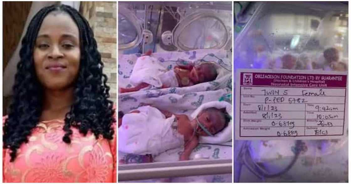 Justina Ngozi Uzodike, UNIZIK, Michael Okpara University student, Oluomachi Linda Nwojo, Katsina, Hajara Shu'aibu Justina Ngozi Uzodike, UNIZIK, Michael Okpara University student, Oluomachi Linda Nwojo, Katsina, Hajara Shu'aibu