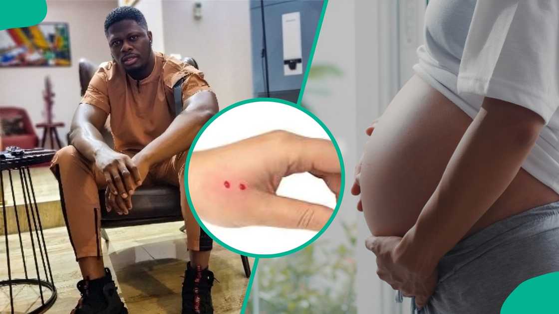 A Nigerian doctor speaks about what to do when a pregnant woman gets a snakebite