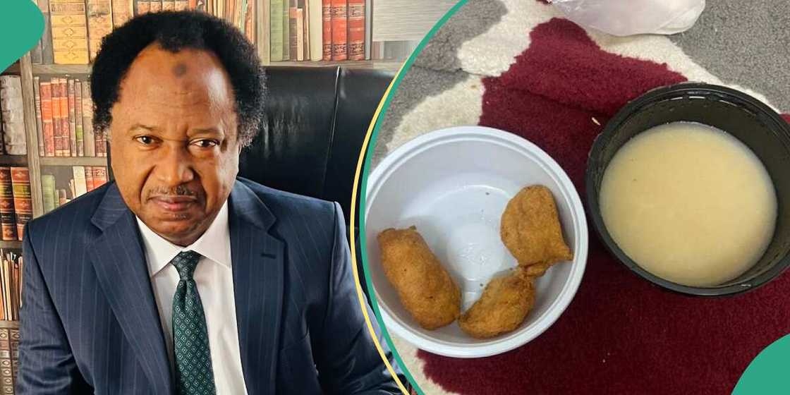 Shehu Sani reacts to breakfast given to Nigerian pilgrims in Mecca