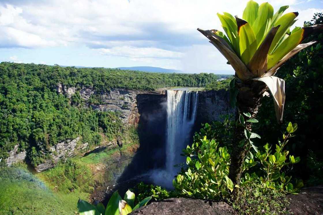 Guyana claims to already be carbon neutral, due to its small population and economy coupled with lush forests, such as in Kaieteur National Park Guyana claims to already be carbon neutral, due to its small population and economy coupled with lush forests, such as in Kaieteur National Park