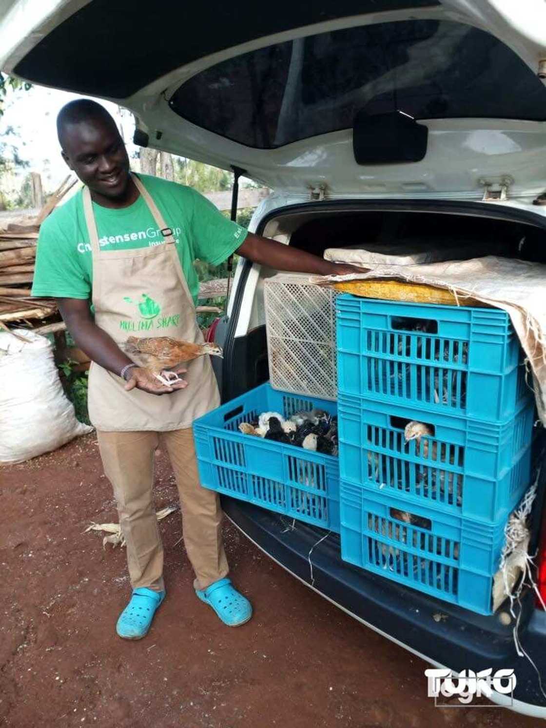 Kenyan graduate who made 200 job applications without success now earns KSh 1m monthly Kenyan graduate who made 200 job applications without success now earns KSh 1m monthly