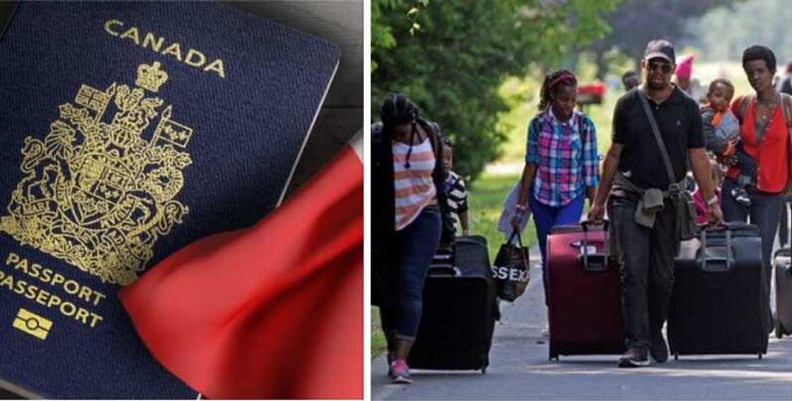 Japa: Easiest 5 Ways to Immigrate to Canada in 2023 You Should Know Japa: Easiest 5 Ways to Immigrate to Canada in 2023 You Should Know