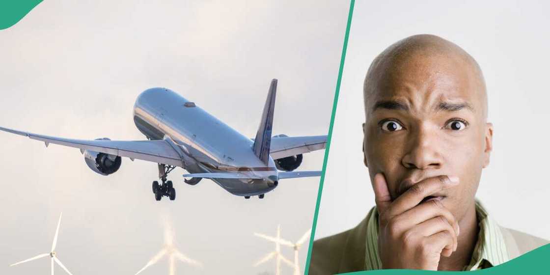 Cost of domestic flights, domestic airlines Cost of domestic flights, domestic airlines