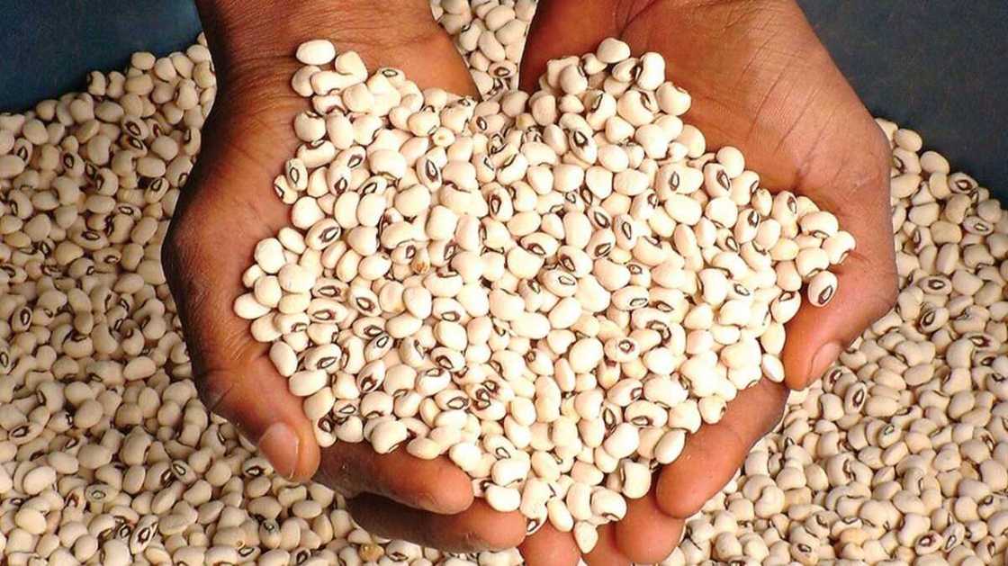 An gargadi jama'a kan cin wake dake warin kalanzir ko fiya-fiya An gargadi jama'a kan cin wake dake warin kalanzir ko fiya-fiya