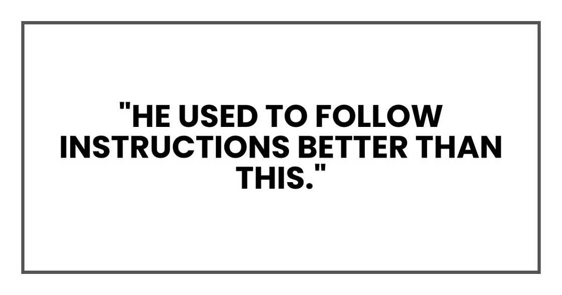 "He used to follow instructions better than this," "He used to follow instructions better than this,"