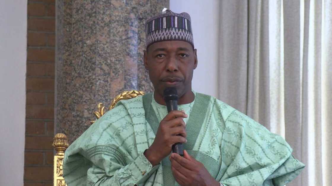 CAN to Zulum: Christians don't engage in terrorism, Boko Haram has shown where they belong CAN to Zulum: Christians don't engage in terrorism, Boko Haram has shown where they belong
