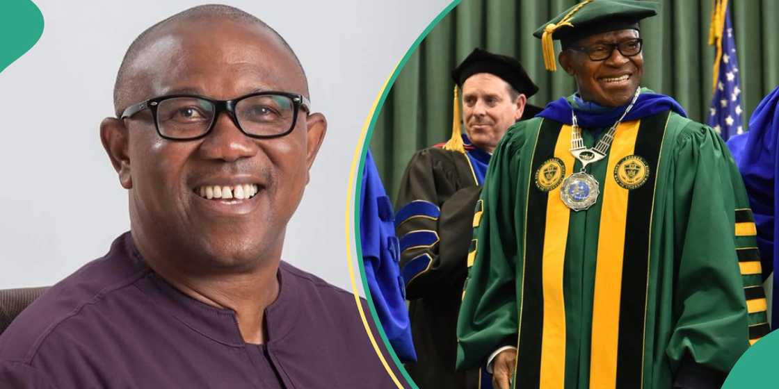 Nigerian-born Nwosu emerges as First Black President of State University of New York