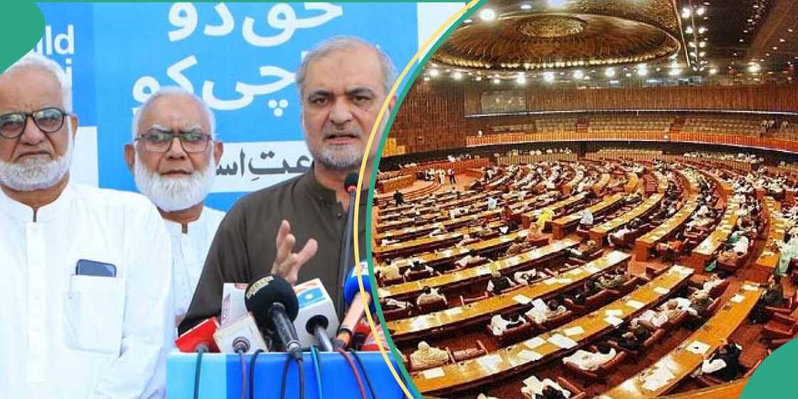 'Dan siyasa 'Dan siyasa