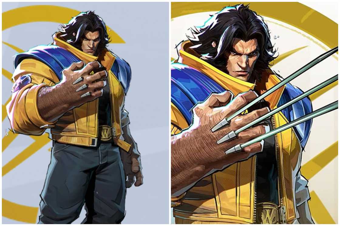 Wolverine Wolverine