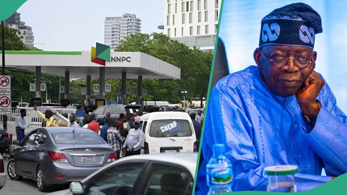 Fuel price hike: Afenifere reacts, warns Tinubu Fuel price hike: Afenifere reacts, warns Tinubu