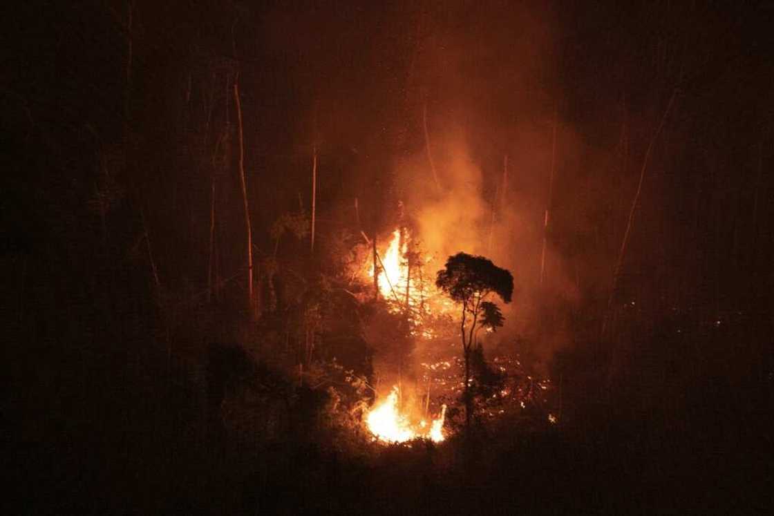 View of a burnt area in the Amazon rainforest in the region of Candeias do Jamari, Rondonia state, northern Brazil, on September 2, 2022