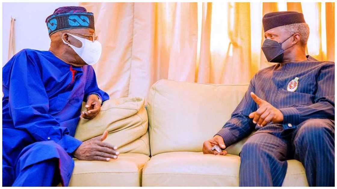 Dele Momodu praises Osinbajo