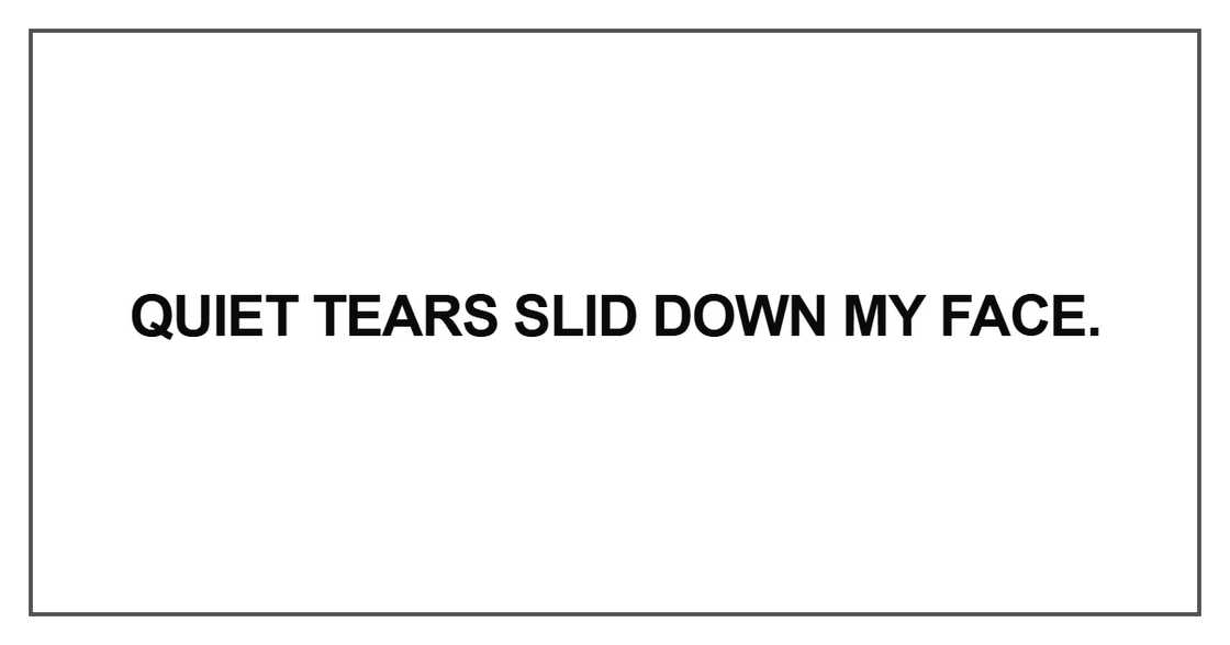 Quiet tears slid down my face Quiet tears slid down my face