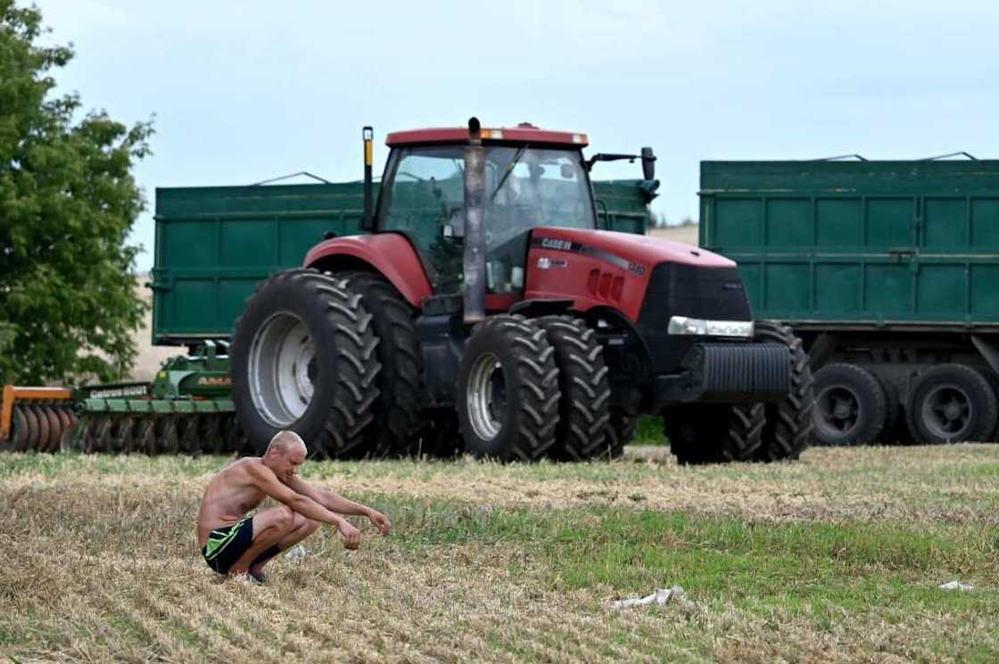 A farm employee breaks during harvest in a field near Kyiv A farm employee breaks during harvest in a field near Kyiv