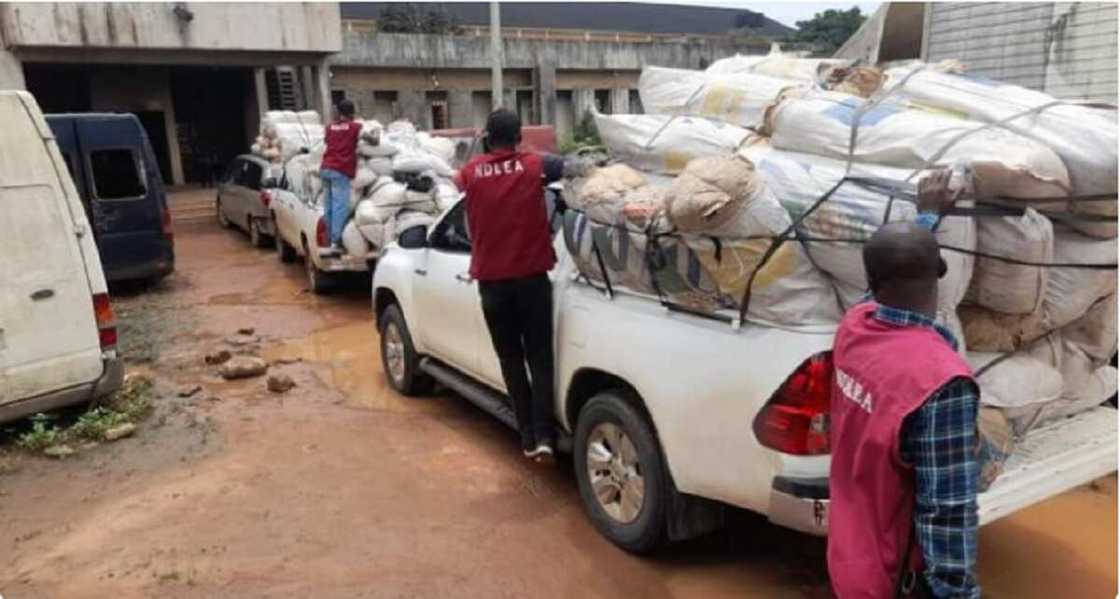 An kama dillalin miyagun ƙwayoyi da ake nema ruwa jallo a cikin coci a Legas An kama dillalin miyagun ƙwayoyi da ake nema ruwa jallo a cikin coci a Legas