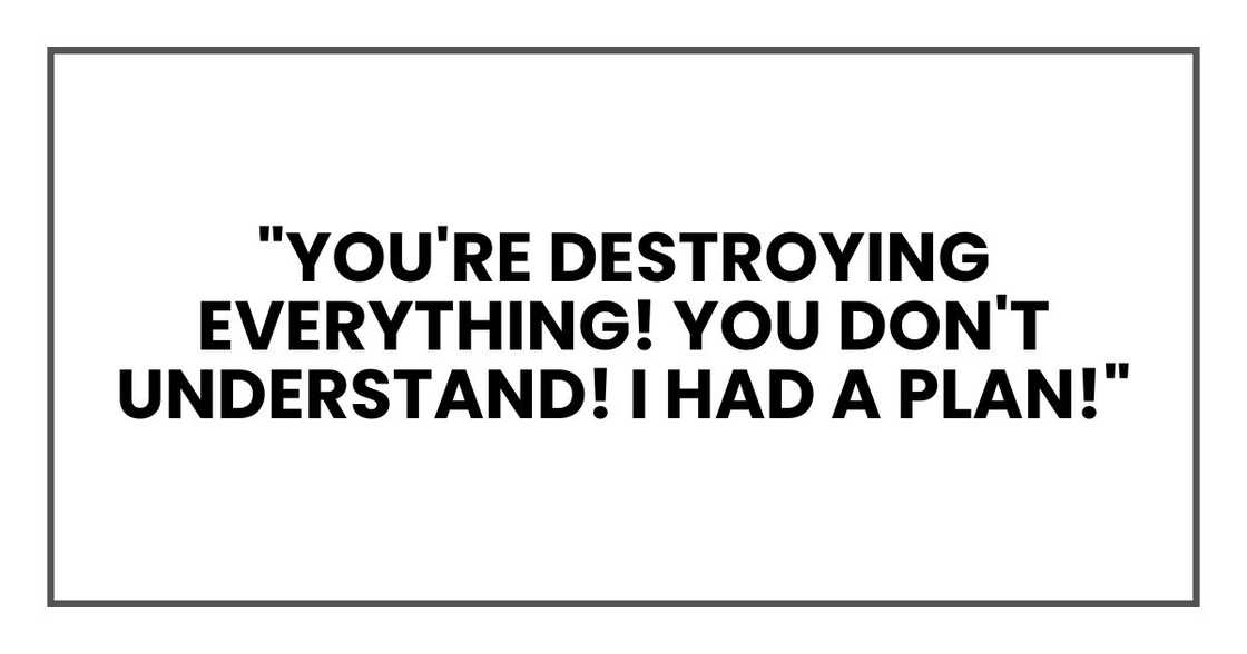 You're destroying everything! You don't understand! I had a plan