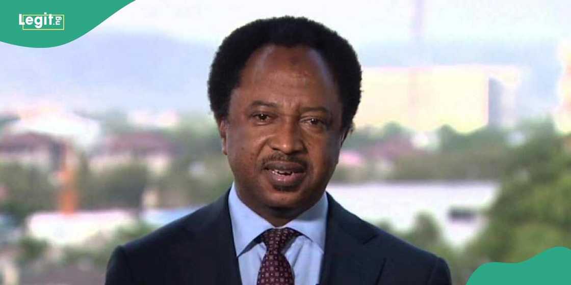 Senator Shehu Sani has reacted to the ongoing budget padding allegations levelled against the Senate Senator Shehu Sani has reacted to the ongoing budget padding allegations levelled against the Senate