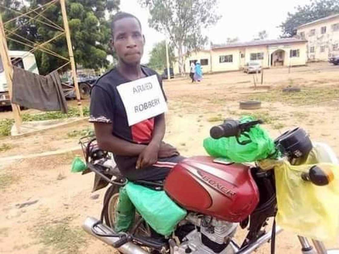 'Yan sanda sun damke 'yan fashi 7 da suka addabi jihar Adamawa (Hotuna) 'Yan sanda sun damke 'yan fashi 7 da suka addabi jihar Adamawa (Hotuna)