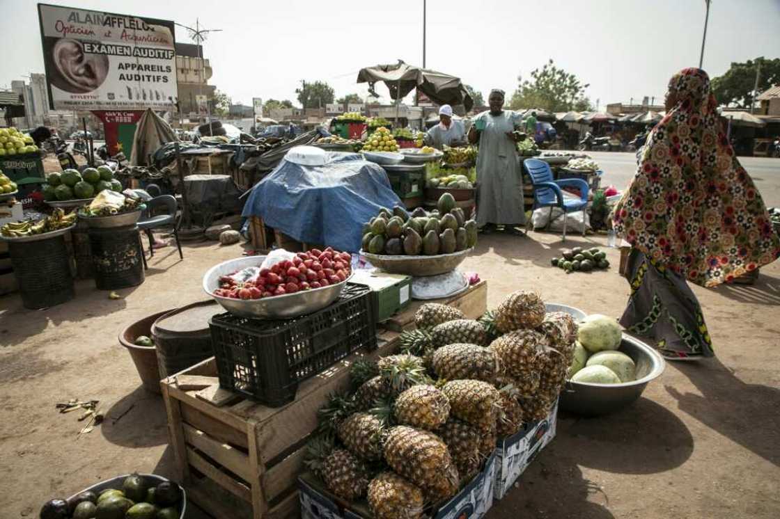 Strawberries have been grown in Burkina since the 70s, says market gardener Madi Compaore