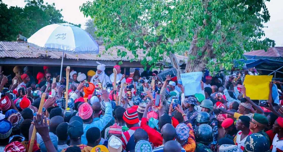 Jihar Kano Jihar Kano