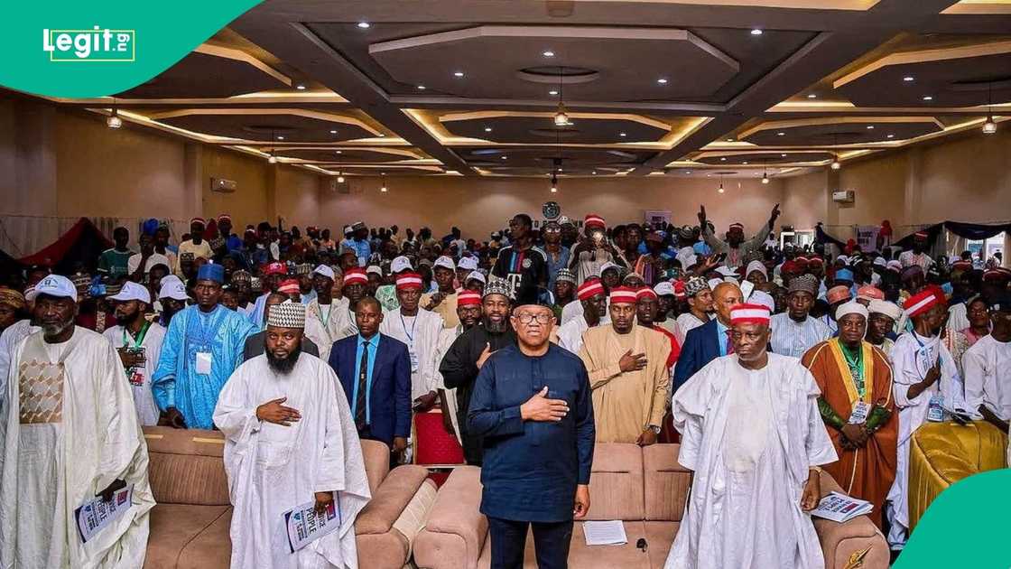 Obi/Kwankwaso Obi/Kwankwaso