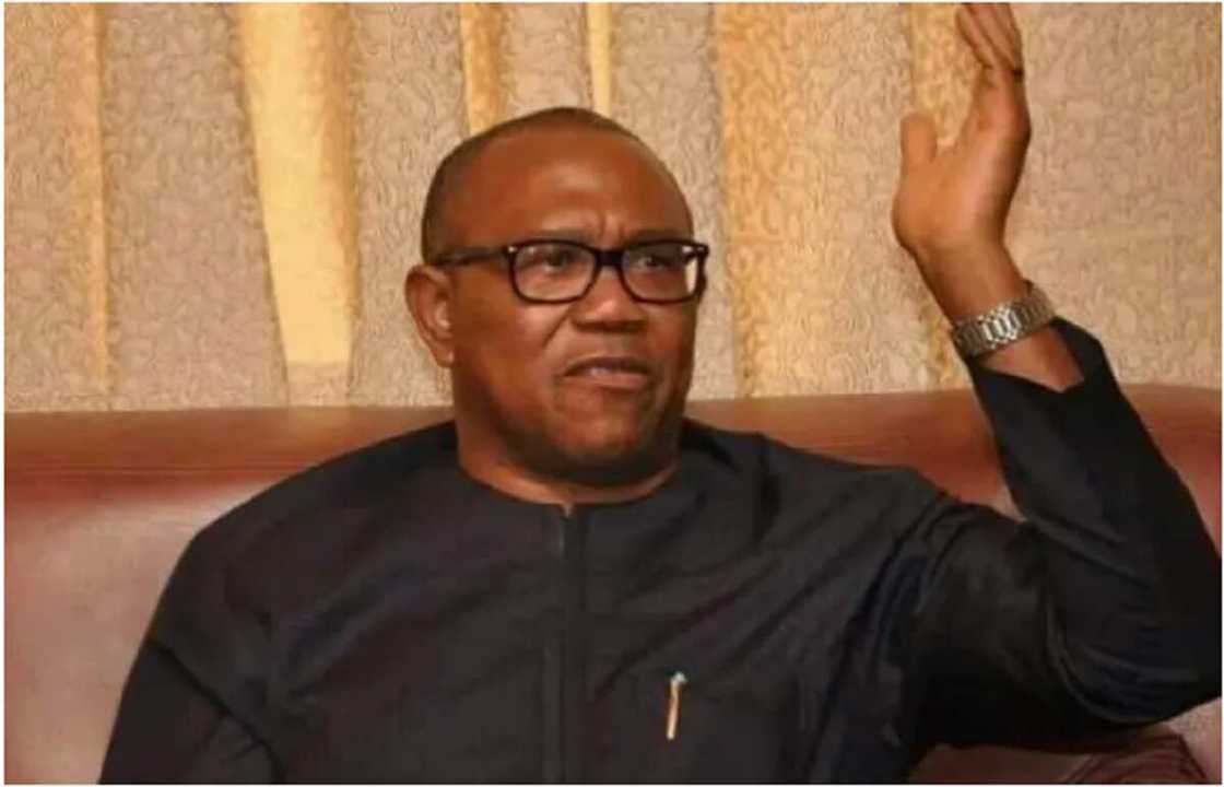 Peter Obi, Labour Party, 2023 election