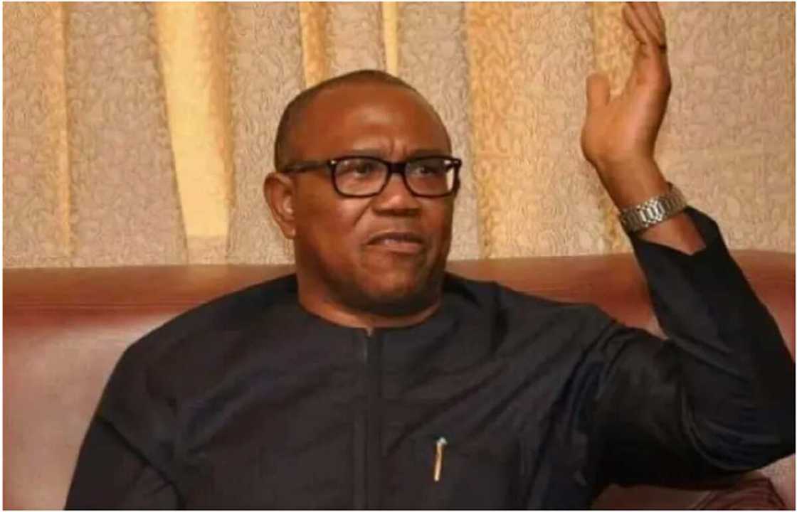 2023 election, INEC, Peter Obi 2023 election, INEC, Peter Obi