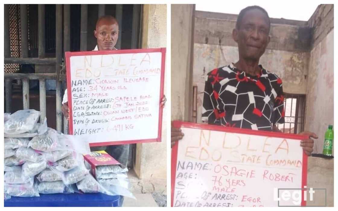 NDLEA ta kama tsoho, jami'in tsaron bogi da shigo da kwayoyi da Biskit Mai Ɗauke da Ƙwaya NDLEA ta kama tsoho, jami'in tsaron bogi da shigo da kwayoyi da Biskit Mai Ɗauke da Ƙwaya