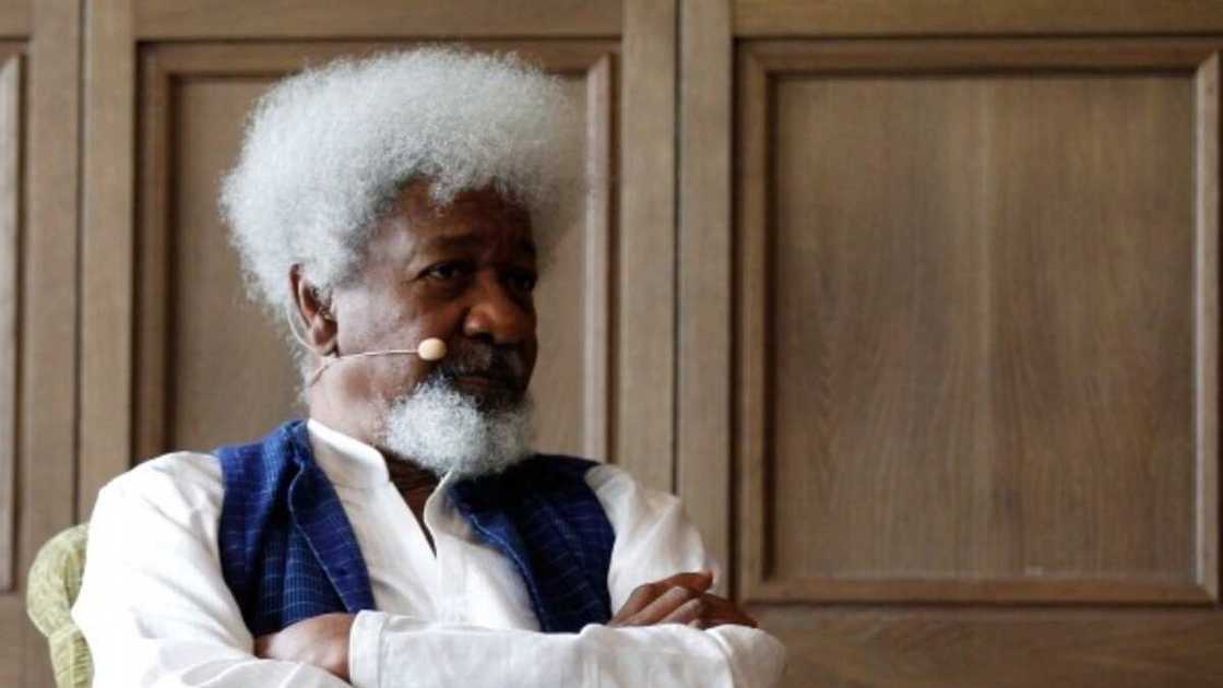 Herdsmen crisis: Wole Soyinka's son reacts to report claiming herders attacked his father Herdsmen crisis: Wole Soyinka's son reacts to report claiming herders attacked his father