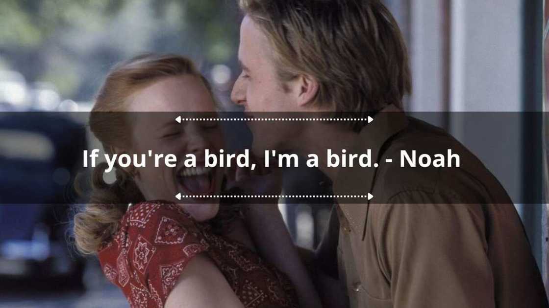 the notebook movie quotes