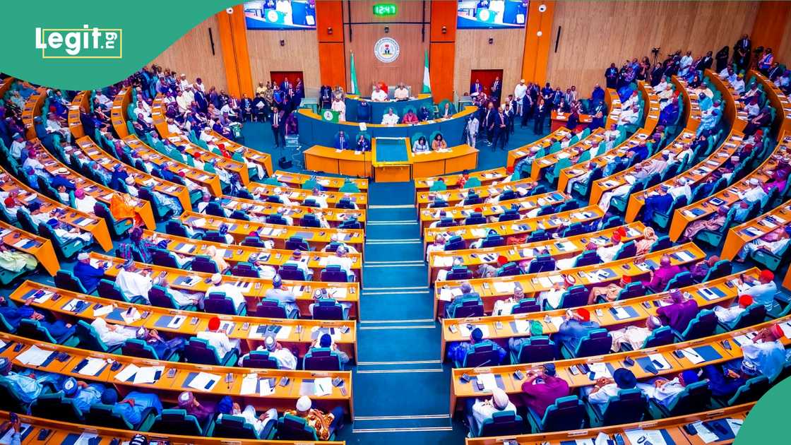 National Assembly under fire for approving Rivers emergency rule National Assembly under fire for approving Rivers emergency rule