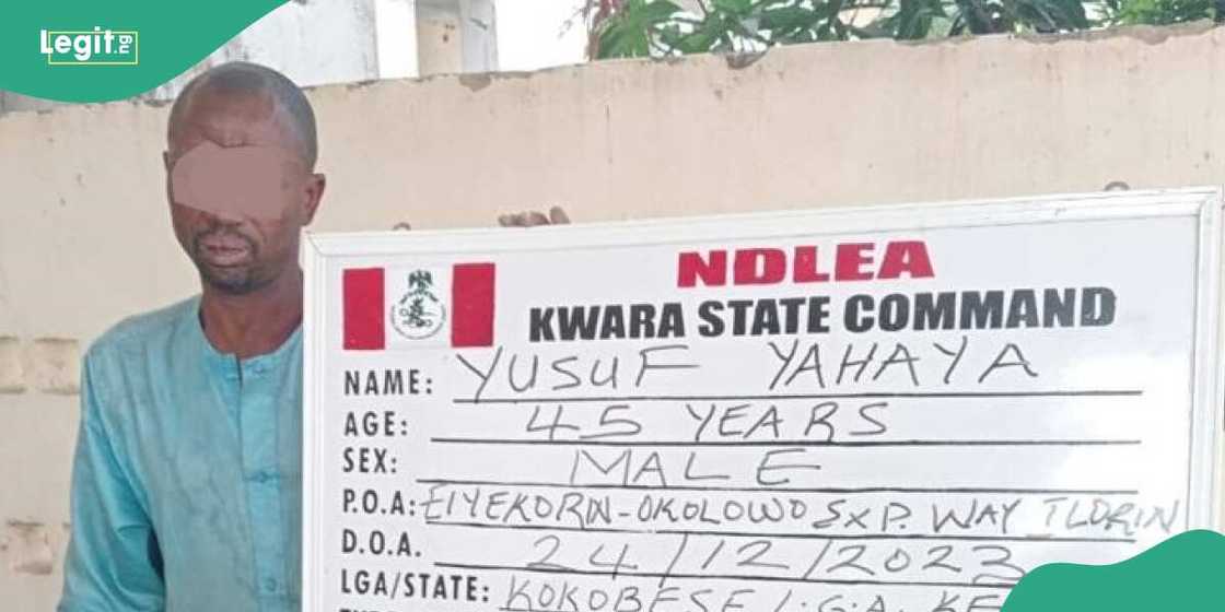 NDLEA ta kama miyagun kwayoyi da dilallai masu kai wa yan bindiga kwaya