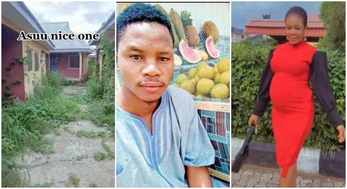 Nigerian university hostel overgrown by bush, Mustapha Dankama a student turn fruit seller, female student who got pregnant during ASUU strike.