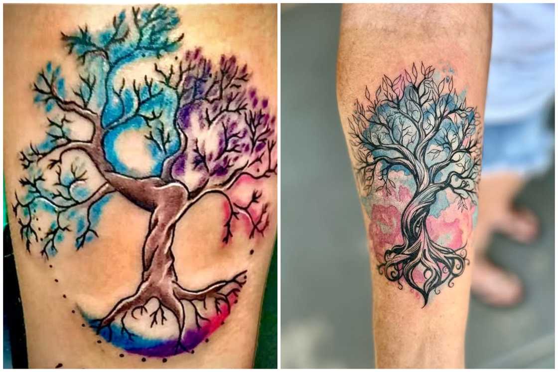 Watercolour Tree of Life tattoo Watercolour Tree of Life tattoo