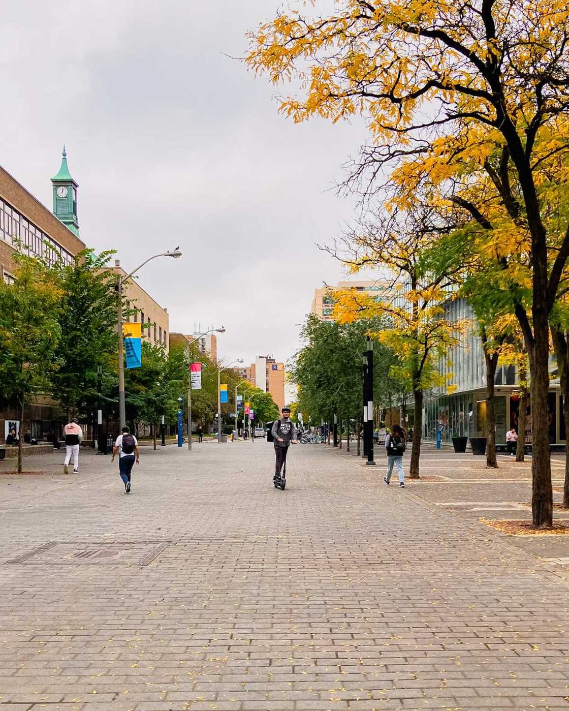 Cheap universities in Canada Cheap universities in Canada