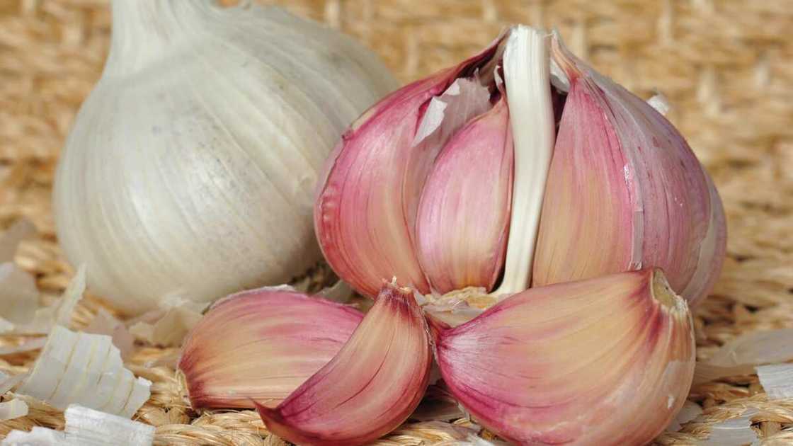Garlic for our health Garlic for our health