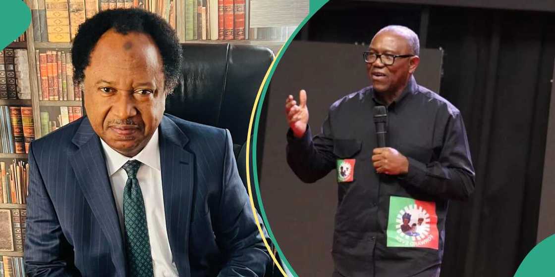 Shehu Sani analyses Peter Obi’s chances in 2027 Shehu Sani analyses Peter Obi’s chances in 2027