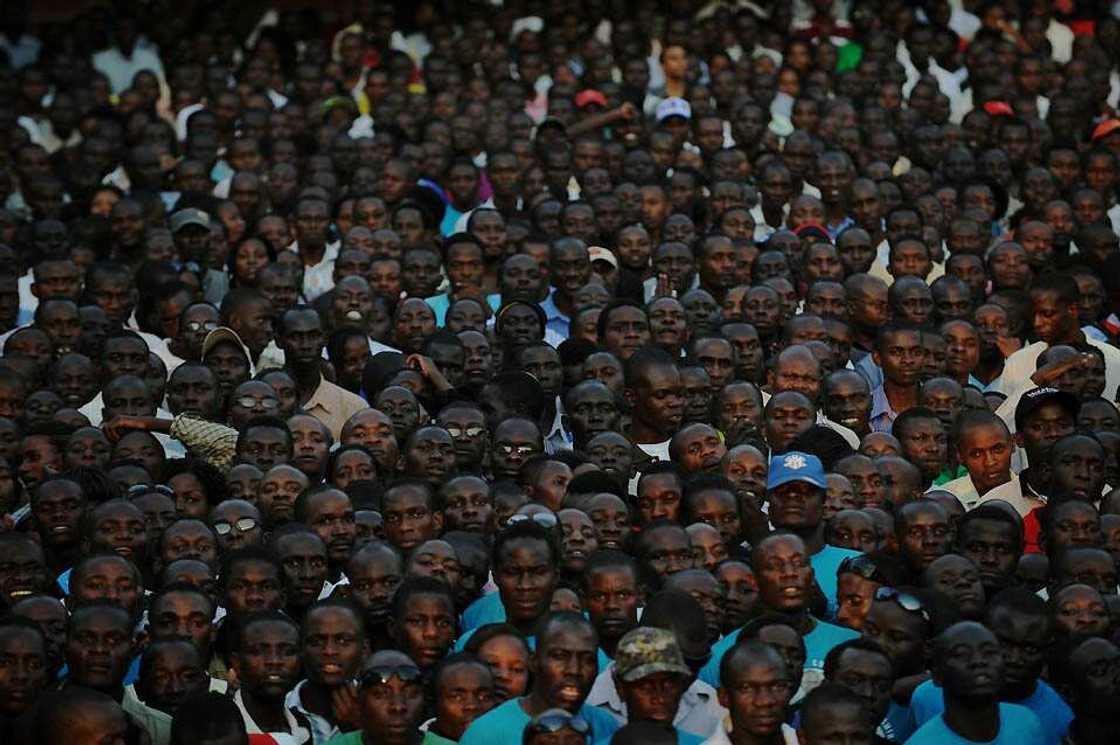 Advantages and disadvantages of democracy Advantages and disadvantages of democracy