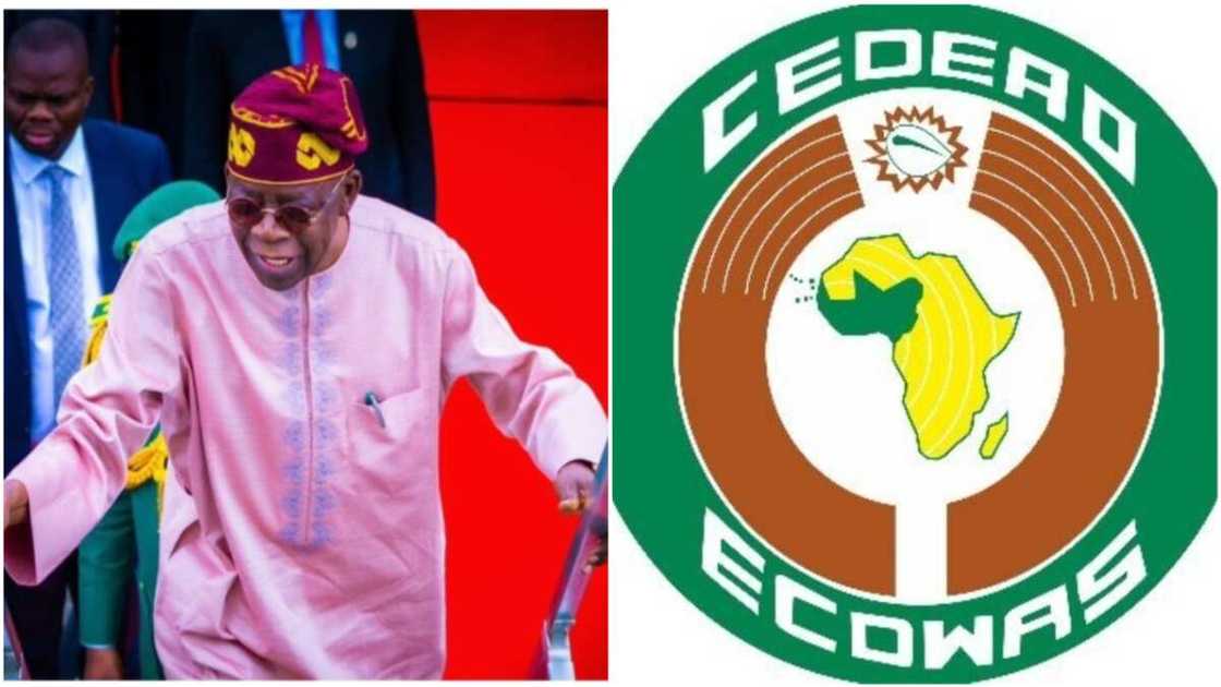 Femi Falana/Bola Tinubu/APC/ECOWAS/West Africa/Niger Republic/Military Coup Femi Falana/Bola Tinubu/APC/ECOWAS/West Africa/Niger Republic/Military Coup