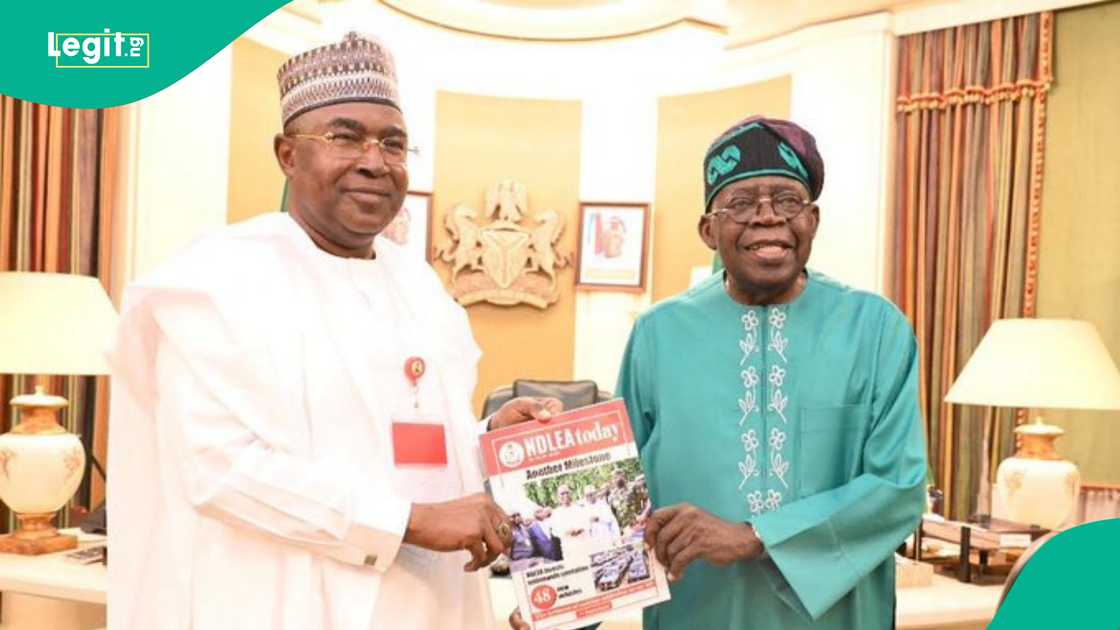 Marwa ya fadi yadda ya taimaki Tinubu ya ci zaben Lagos Marwa ya fadi yadda ya taimaki Tinubu ya ci zaben Lagos