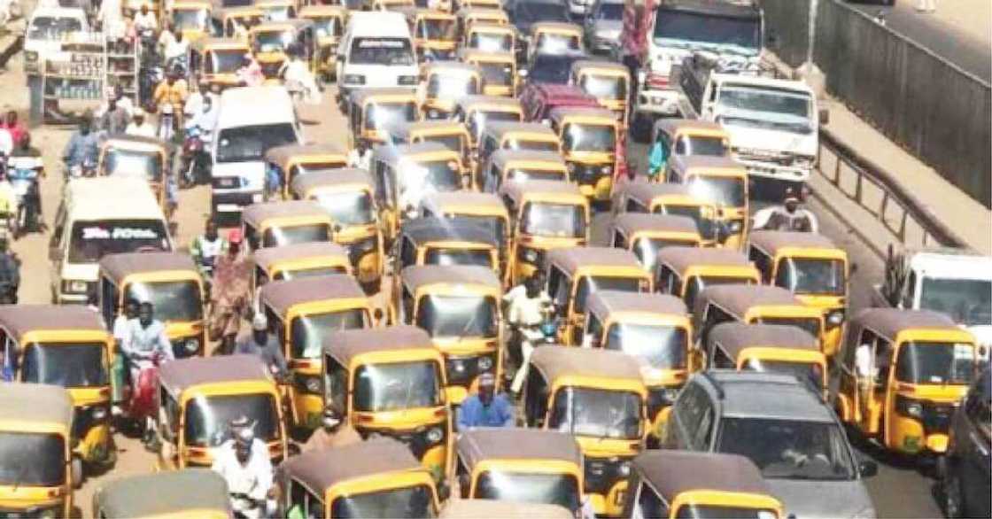 Adaidaita sahu. Adaidaita sahu.